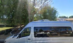 Williams Tree Services