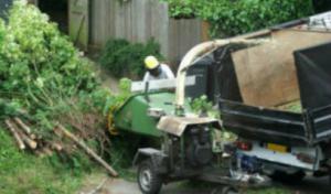 Downing's Tree Service