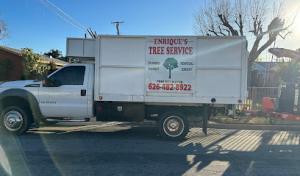 Enrique’s Tree Service