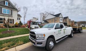 Piedmont Tree Experts