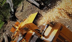 Primetime Tree & Landscape Services