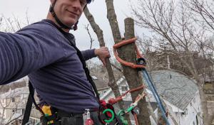 North South Tree Care