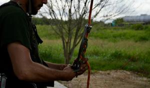 24-7 Tree Services Texas