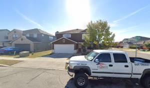 Patriot Plants & Trees