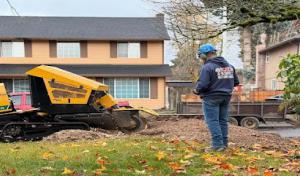 Sequoia Tree Service