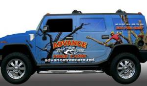 Advance Tree Care