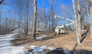 Lucky’s Tree Removal & Landscape Services