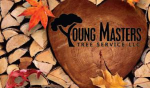 Young Masters Tree Service