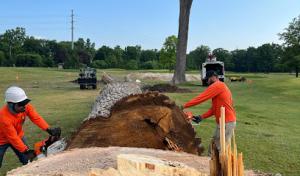 Tri County Tree & Firewood