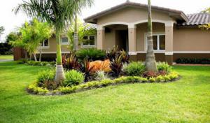 Romero's Tree Service