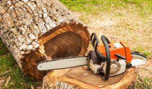 TLC Tree & Landscaping Care