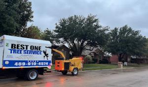 Best One Tree Service