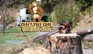 Craft Tree Care