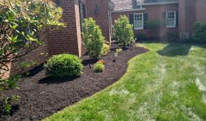 Gallagher Tree Service & Landscape Contracting