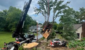 Tanner's Tree Service