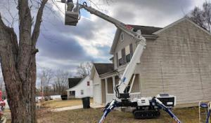 Pro Tree Trim & Removal