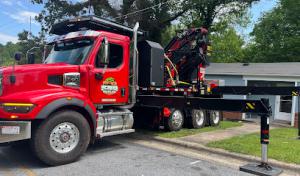 Stumps by Dan Tree service