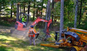 Top Down Tree Service