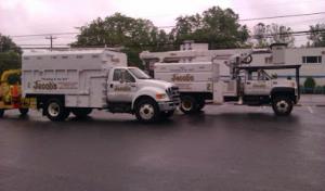 Jacob's Professional Tree & Shrub Care