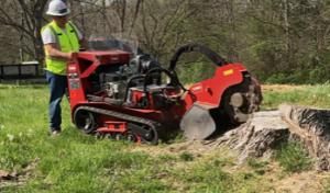 Absolute Stump Grinding