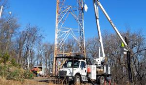 Virginia Tree Specialist