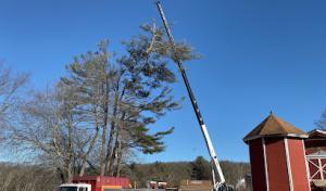 North Smithfield Tree Service