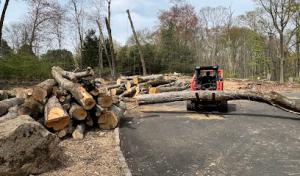 Arborpro Tree Experts