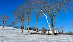 Vaughan's Tree Services