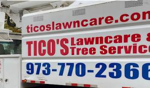 Ticos Tree Services & Removal