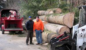 Delaware Valley Tree & Landscaping