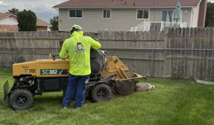 Rent A Monkey Tree Service