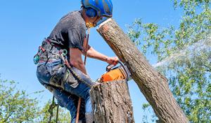 Land Services