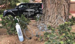 All American Arborist