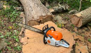 Love's Tree Service & Systems