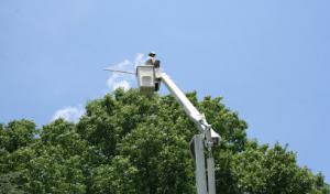 Musser's Tree Services