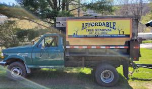 Affordable Tree Removal