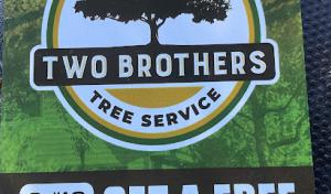 Two brothers tree care
