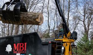 MBI Tree Service
