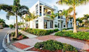 Robles Tree Service & Landscaping