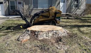 Gillis Lawn & Tree Care