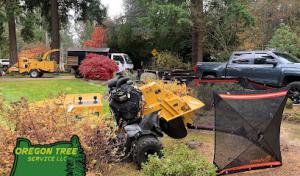 Oregon Tree Service