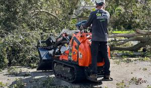 Go Pro Professional Tree Care