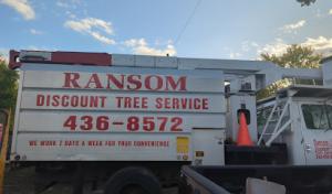 Ransom Discount Tree Service
