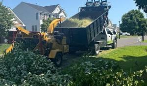 Branch Out Tree Care