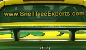 Snell Tree Experts