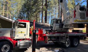 Joe Benigno's Tree Services