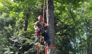 Teekers Tree Service