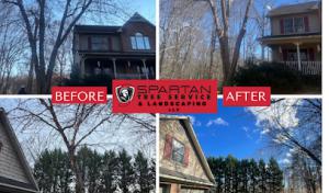 Spartan Tree Service & Landscaping
