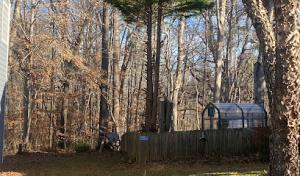 At Your Tree Service