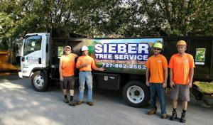 Sieber Tree Service